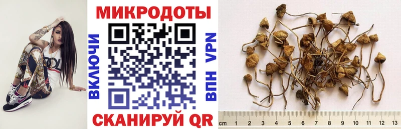 Псилоцибиновые грибы MAGIC MUSHROOMS Кудымкар